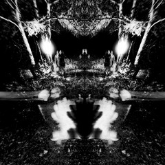 THE HOUSE OF CYBORGS