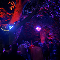OSDN b2b Reed @JM Open Air 2025 - the last dance