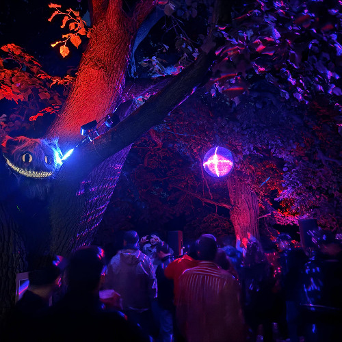 OSDN b2b Reed @JM Open Air 2025 - the last dance