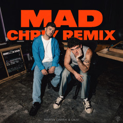 Martin Garrix & Lauv - MAD (CHRLY REMIX)