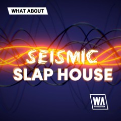W. A. Production - What About Seismic Slap House