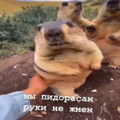 ноу комершал :D (@dj pizdalet + @darktheprod)