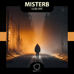 MisterB - Romper Stomper [Premiere]