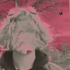 not pretty ft. yung platinum (prod. summerch1ld)