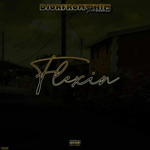 Rayo Dan & Dingo- Jus bin FlexXxin'