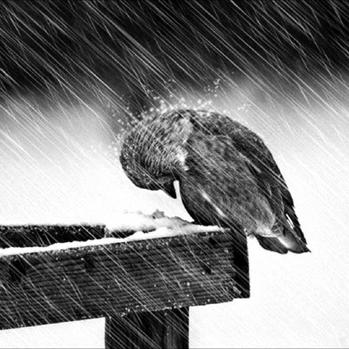 sadness beat