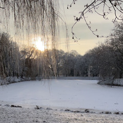 Who I Am Without You 150er