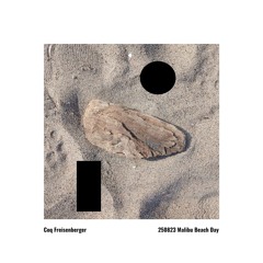 250823 Malibu Beach Day