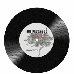 Hoa Phượng Đỏ - PiNGO x Rym