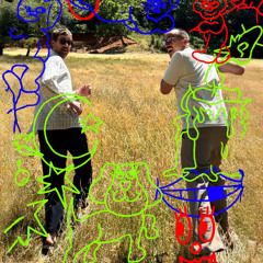 Field Notes: 29th July '25