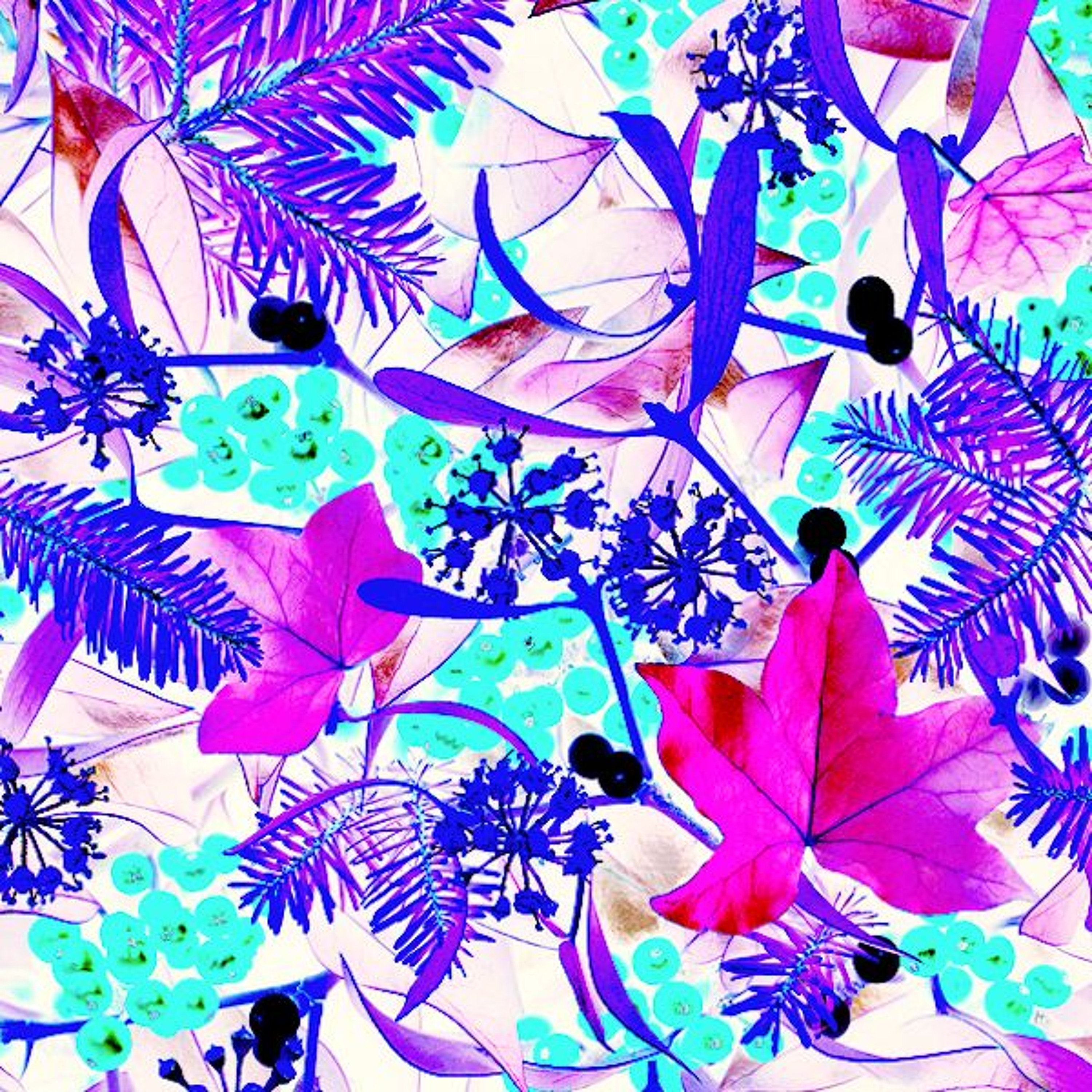 OpenLab Radio Shows