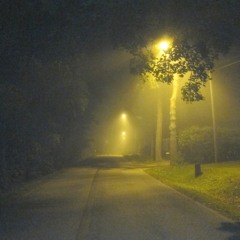 a head full of sounds