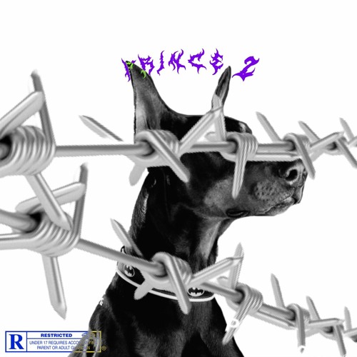 Prince 2 (prod. Weaver & Maxvon)