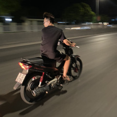 Sắp 30 - Trịnh Đình Quang - CanPanda Remix