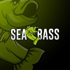 SeaBass Promo Mix | DJ DRK