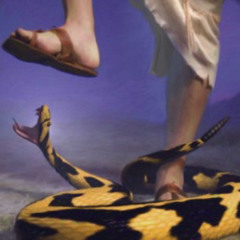 gro my foot on a snake neck