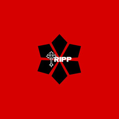 BOOMBOOMROOM (@steeztheproducer homage) @tripp #GUNZABLAZIN #N1GHT0WL #RAIDERZ