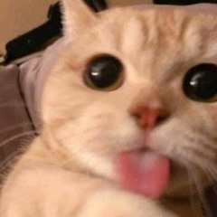 DJ FYP TIKTOK 2022 SOUND KANE JEDAG JEDUG FULL BASS TERBARU