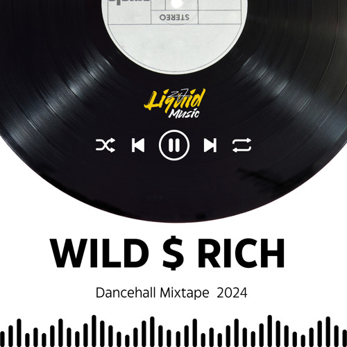 WILD $ RICH DANCEHALL  MIXTAPE - ZJ LIQUID 2024