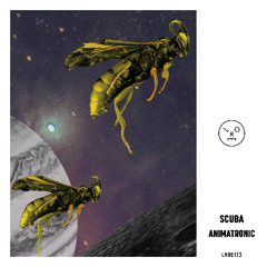 Scuba - Waterfloor