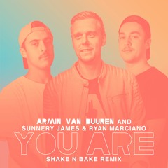 Armin Van Buuren - You Are (Shake N Bake Remix) *FREE DL*