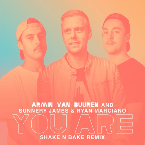 Armin Van Buuren - You Are (Shake N Bake Remix) *FREE DL*
