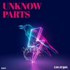 Unknow Parts