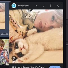 taylor sWift (Feat. Bloody)