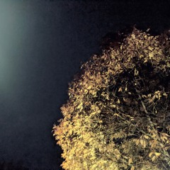 Senescence