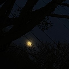 Starlost