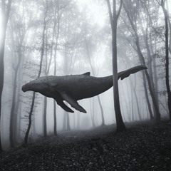 The Never Ending Form (Spoken Text, In Description) - Final Remaster