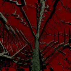 𝚆𝚊𝚕𝚔 𝚒𝚗 𝙱𝚕𝚊𝚒𝚛 𝚆𝚒𝚝𝚌𝚑