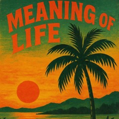 Meaning of life
