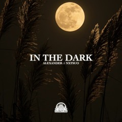 Alexander & NXTSUO - In The Dark