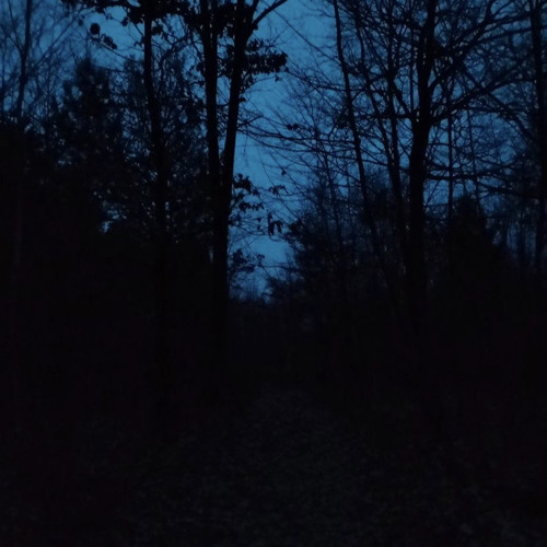 ‎