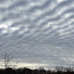 Liberators on the Horizon