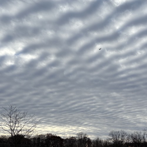 Liberators on the Horizon