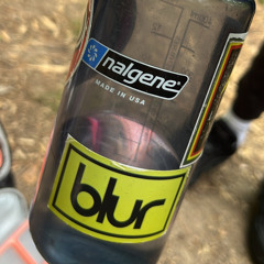 bug collector (cover)