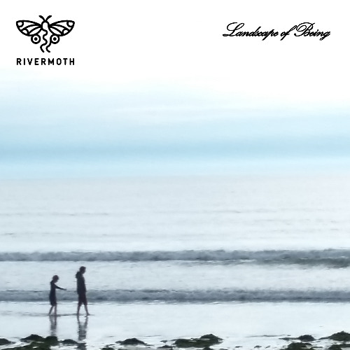 Normalised (live on the plots)