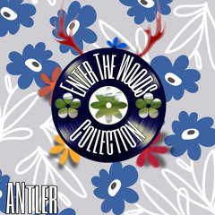 Enter The Woods Collection