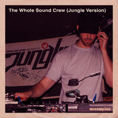 Lost Dubs 020 - The Whole Sound Crew (jungle mix) (2005)