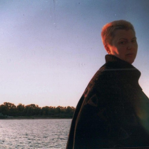 Dew on bamboo leaves