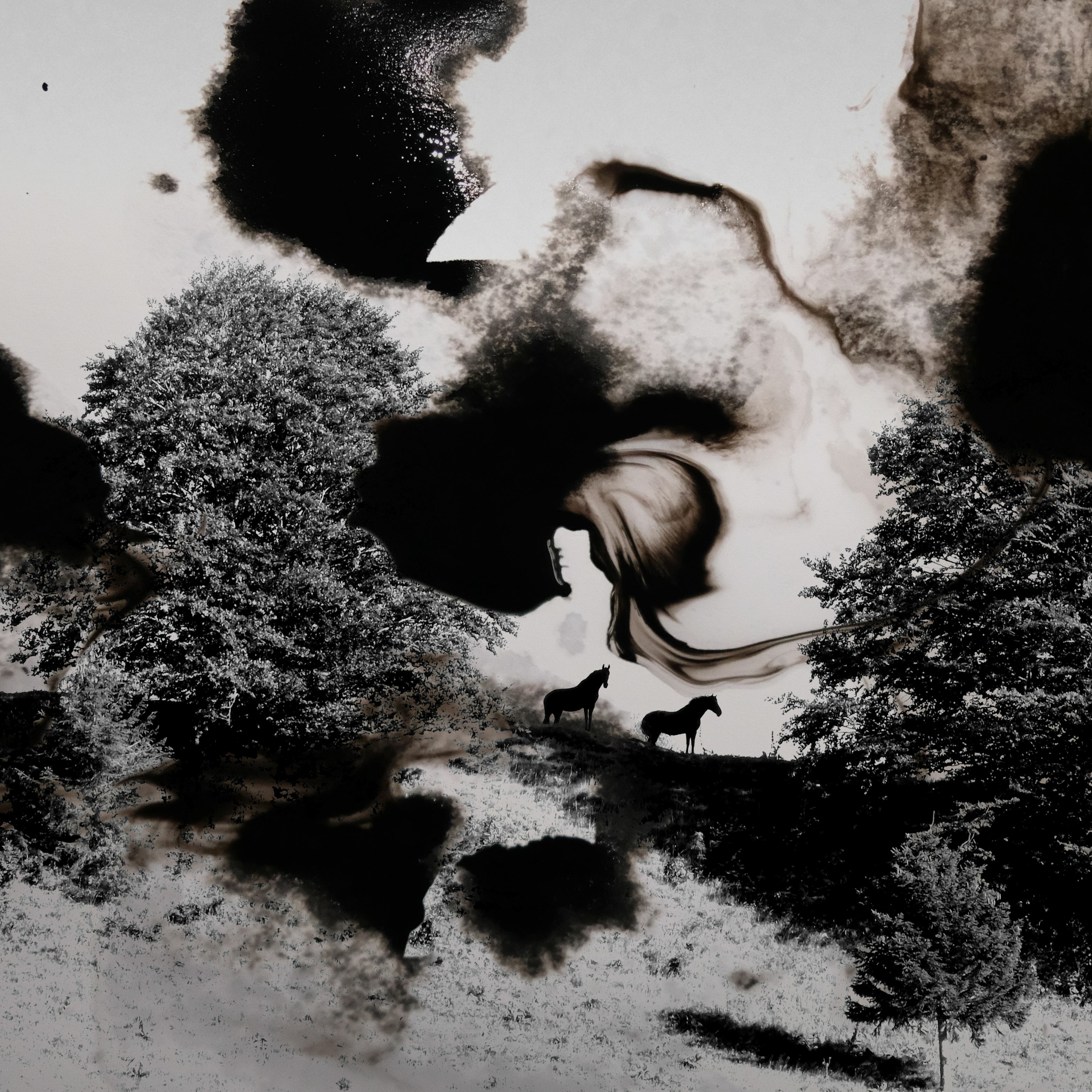 Antonin De Bemels