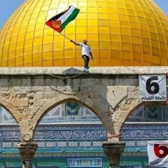 فلسطين عربية - محمود الجوهرى