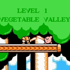 NiDL Vegetable Valley but it's more like the NES version