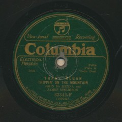 John McKenna and James Morrison: Thady Regan/Trippin on the Mountain (polkas)