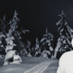 WINTER ARC (SLOWED)