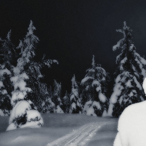 WINTER ARC (SLOWED)