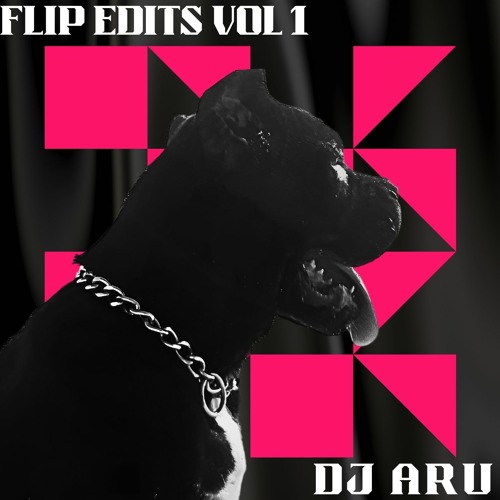 GET YOUR SHIT AND GO (VIP) (DJ ARU EXTENDED)