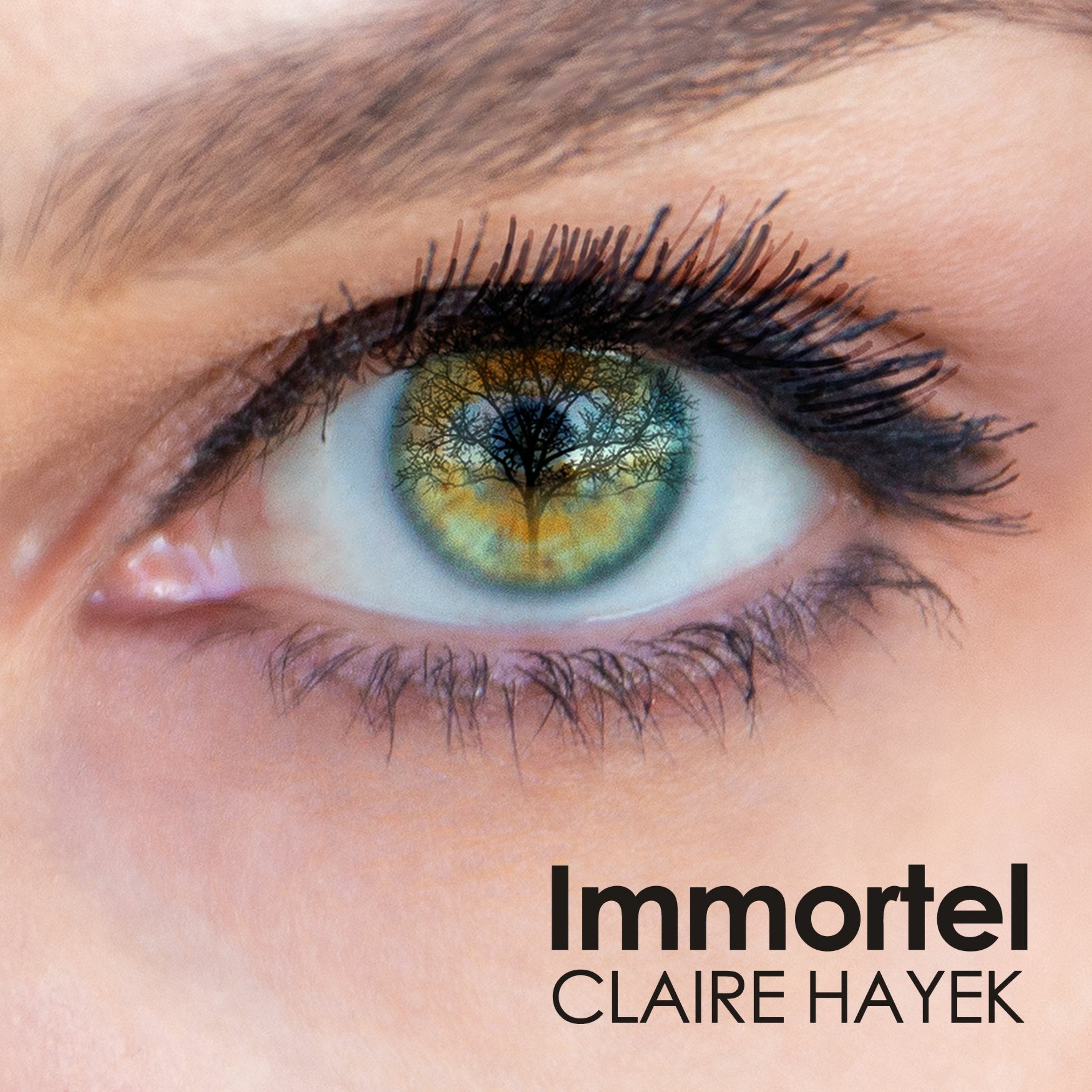 clairehayek